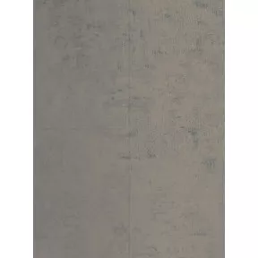 Вініловий ламінат DLC00089 Rough Concrete Замок 800 Stone Xl Wineo Vinil
