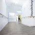 Вініловий ламінат DB00141 Glamour Concrete Modern Клейовий 400 Stone Wineo Vinil ціна