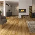 Ламінат 53685 Дуб Сангха Ambience 4V Wr Classen ціна