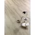 Ламінат 628 Дуб Майорка Diamond Beauty Floor ціна