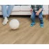 Ламінат GL514 Дуб Медовий Golden V4 Peli Parquet ціна