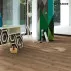 Ламінат 1371172 Дуб Грубо Пиляний Trendtime 6 Parador ціна