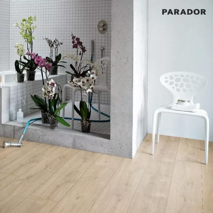 Ламінат 1567469 Дуб Нова Світлий Вибілений Trendtime 6 Parador ціна Ламінат 1567469 Дуб Нова Світлий Вибілений Trendtime 6 Parador ціна