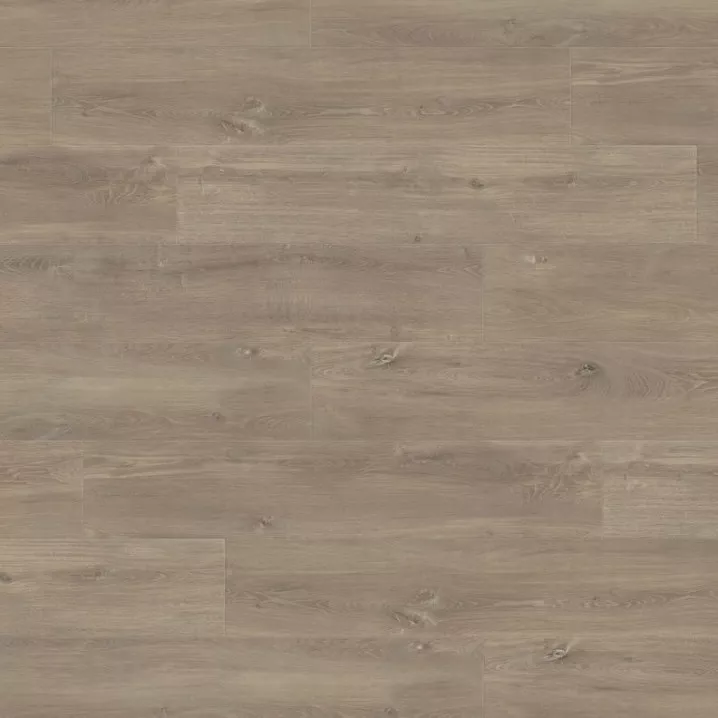 Ламінат 538752 Oak Liguria Greige Tritty 100 Campus 4V Haro ціна Ламінат 538752 Oak Liguria Greige Tritty 100 Campus 4V Haro ціна