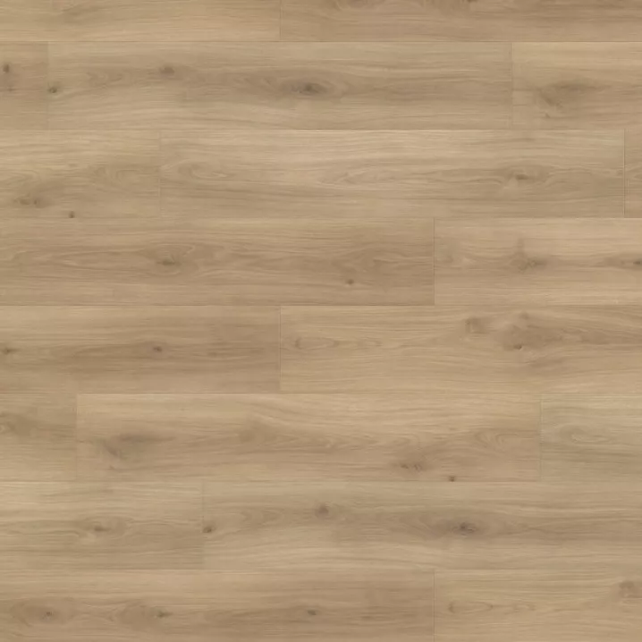 Ламінат 538750 Oak Emilia Puro Tritty 100 Campus 4V Haro ціна Ламінат 538750 Oak Emilia Puro Tritty 100 Campus 4V Haro ціна