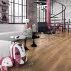 Ламінат 2594 Дуб Селтік Progress Kronopol ціна